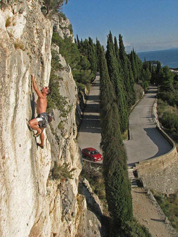 Olive Tree Apartment Split Bagian luar foto