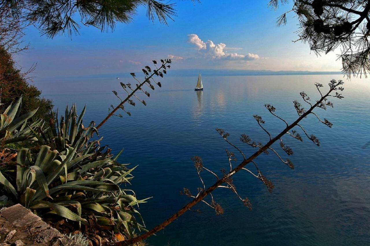 Olive Tree Apartment Split Bagian luar foto